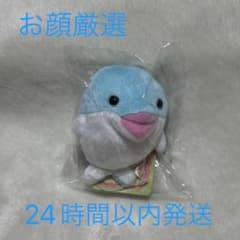 minibeans イルカ 赤ちゃん ぬいぐるみ ミニビーンズ いるかのサムネイル