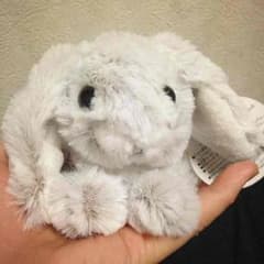 うさぎ ロップイアー ぬいぐるみのサムネイル