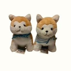 ✅大館能代空港&秋田空港　共同プロデュース秋田犬ぬいぐるみオリジナル2個セット 大館能代・秋田空港共同プロデュース 秋田犬ぬいぐるみ 2体 - メルカリ