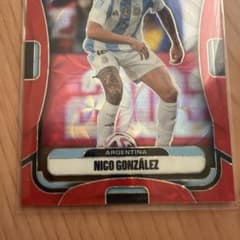 アルゼンチン代表 サッカーカード ハーランドのサムネイル