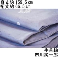 m54025840451_1.jpg?1762414891