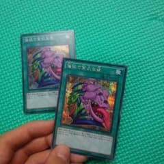 しゅみゅ様専用　強欲で貪欲な壺のサムネイル