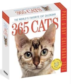 365 Cats カレンダー ねこ 2026年 猫 日めくり ネコのサムネイル