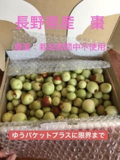 長野県産　生なつめのサムネイル