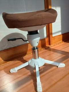健康用品 ゆらキュットチェア ホームフィットネス - メルカリ