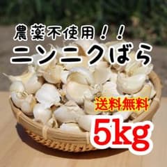送料無料!! 2026年産 無農薬 バラニンニク 5kg ニンニク 5キロ - メルカリ