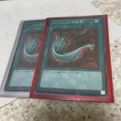 ハーピィーの羽根箒２枚のサムネイル
