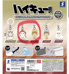 ハイキューめじるし　ツムキツネ　アカアシフクロウのサムネイル