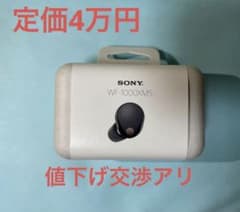 ソニーワイヤレスイヤホン　WF-1000XM5のサムネイル