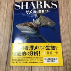 サメ 海の王者たちのサムネイル