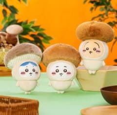 m54041380239_1.jpg?1760536768