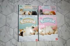 もっちりころりん　ねこ　ヘソ天三毛　ヘソ天ハチワレグレー　2個セット