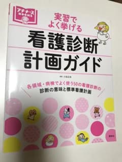 看護診断 計画ガイド 実習でよく挙げるのサムネイル