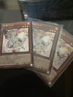 遊戯王 灰流うらら　3枚セット①のサムネイル
