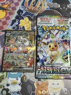 ポケモンカード チラチーノex SAR （テラスタルフェスexバラパック付き