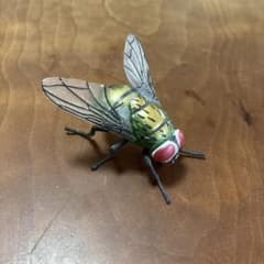 カプセルQミュージアム 衛生害虫博覧会 ～身近に潜む生活害虫～ キンバエのサムネイル