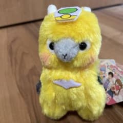 エヴァパカッソのサムネイル