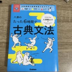 八澤のたった6時間で古典文法のサムネイル