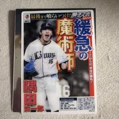 埼玉西武ライオンズ 隅田知一郎 獅子スポトレーディングカードのサムネイル