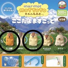 マーモットのもっとっと ここだよますこっと アー太郎(くちとじ) もっとっとのサムネイル