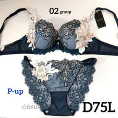 サルート Salut 02g ローマの休日 セットアップ C75M サルート】 C75&ノーマルM ローマの休日 02G