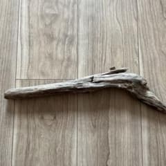 自然な形状の流木のサムネイル
