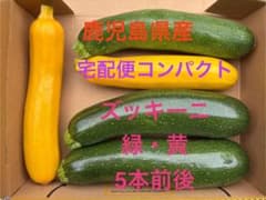 ブランドズッキーニ | 潤翠-JUNSUI- | 宮崎県産　Mサイズ　5箱セット 鹿児島県産 ズッキーニ 5本セット - メルカリ