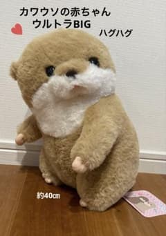 m54098344845_1.jpg?1754476720