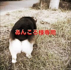 あんころ様専用ページのサムネイル