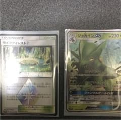 ポケモンカード ライフフォレスト ジュカインGXのサムネイル