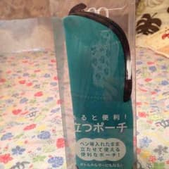 立つポーチのサムネイル