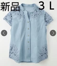 大きいサイズ　レディース服　ミセス　シニア　トップス　おしゃれ　ブラウス　ベストのサムネイル