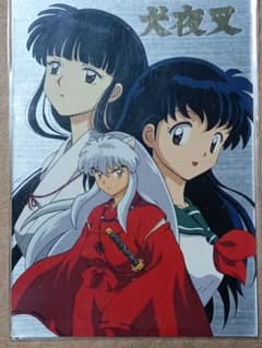 m54111679524_1.jpg?1728669310