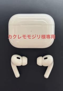 カクレモモジリ様専用のサムネイル