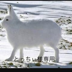 とっちぃ様専用のサムネイル