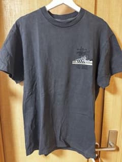stussy ステューシー tシャツ Lサイズのサムネイル
