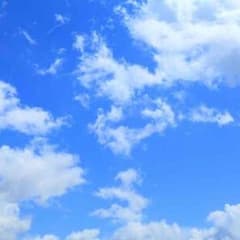 みゃー様 専用ページのサムネイル