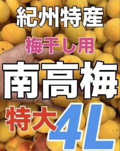 0809【秀品】特大4L3kg 梅干し用完熟南高梅 キルトパッチ梅店のサムネイル