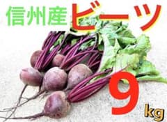 信州産ビーツ】9kg 【有機肥料使用・化学農薬不使用】 - メルカリ