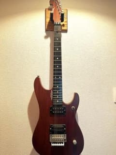 希少】Washburn USA製 N4 DARK - メルカリ