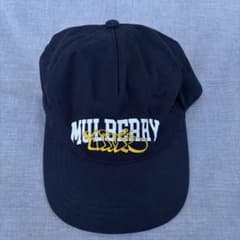 AIME LEON DORE MULBERRY キャップ　エメレオンドレ