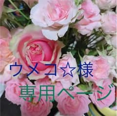 ♡ウメコ☆様専用♡オーダーページのサムネイル