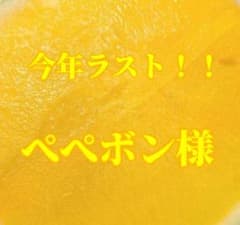 690 ぺぺボン様のサムネイル