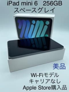 【美品】iPad mini 6 Wi‑Fiモデル 256GB - スペースグレイのサムネイル