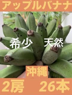 沖縄【天然】アップルバナナ　たっぷり2房 26本 1set先着1名様　送料込みのサムネイル