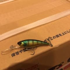 想流シャッドのサムネイル