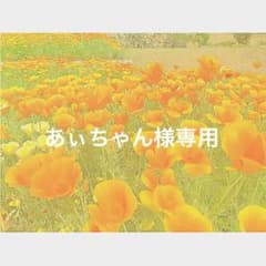 あぃちゃん様専用のサムネイル