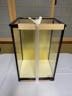 SSS級特級呪物】元気で活発な座敷童様宿る/幸福を運ぶお人形/縁起物