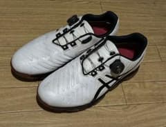 ASICS ゴルフシューズ 26.0cm - メルカリ