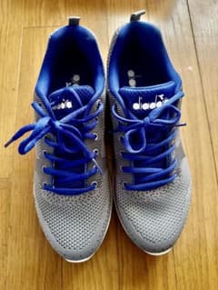 送料込に変更致しました。Diadora（ディアドラ） • 品番：101.…のサムネイル
